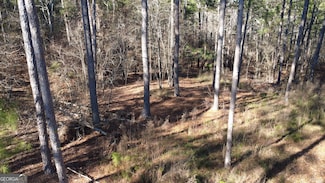 1051 Bluff Rd, Elberton, GA 30635