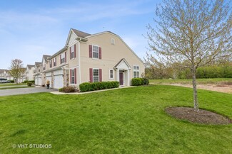 529 Terra Springs Cir, Volo, IL 60020