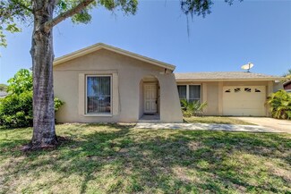 10207 Vista Cove Ct, Tampa, FL 33615