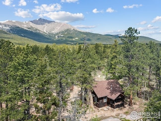 84 County Road 113n, Allenspark, CO 80510
