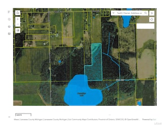 6000 Tomer Rd, Clayton, MI 49235