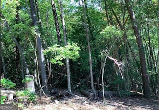 0.68 Valley View, Ellijay, GA 30536