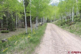 tbd 10th, Jasper, CO 81144