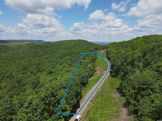 TBD Lick Fork Rd, Witt Springs, AR 72686
