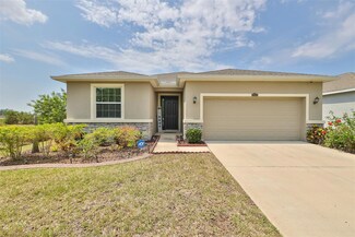 10434 Scenic Hollow Dr, Riverview, FL 33578