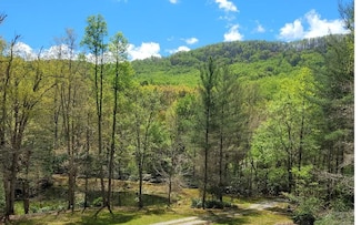 1171 Picklesimer Mountain Rd, Morganton, GA 30560