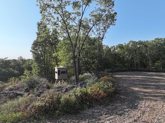 000 Old 60 Drive Tract 3, Seneca, MO 64865