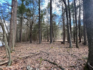 0 Creek Rd, Lackawaxen Township, PA 18428