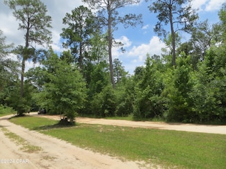 0000 Paradise Lakes Rd, Chipley, FL 32428