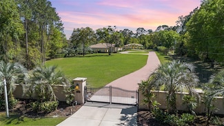 1135 Mckenzie Rd, Lake Helen, FL 32744