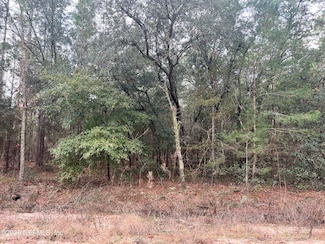 0 Trout Lake Cir Unit 2119300, Interlachen, FL 32148