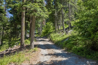 330 2 Spring Rd, Cle Elum, WA 98922