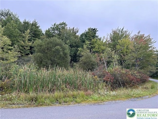1325 Glade Dr Unit Lot 7143, Long Pond, PA 18334