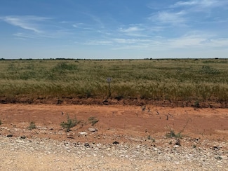 1140 SE 1630, Andrews, TX 79714