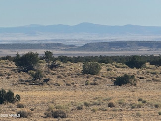 214 Gbar Ranch -- Unit 214, Saint Johns, AZ 85936