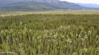 1327.6 B3 Alaska Hwy, Tok, AK 99780