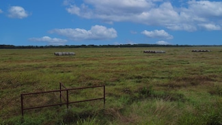 000 County Road 2105, Cooper, TX 75432