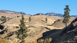 0 Harrier Ln Unit NWM2381584, Tonasket, WA 98855