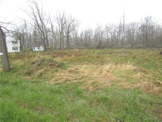VL Larkin, Evans, NY 14006