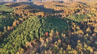 1739 Wedgewood Dr, Linden, TN 37096