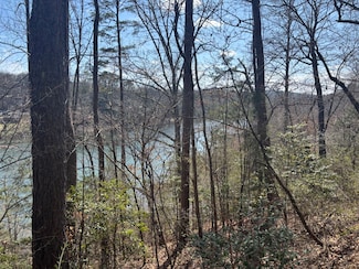 00 Robinhood Ln, Franklin, NC 28734