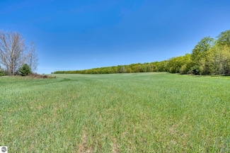 8010 E Horn Rd, Lake Leelanau, MI 49653