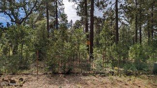 5949 Jackrabbit Trail, Pinetop, AZ 85935