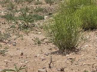 VL Rge Lot 14 15 Block 380 Unit 14, Belen, NM 87002