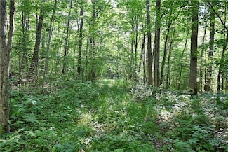 80 Acres 240th St, Arthur, WI 54732