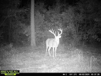 0 Seven Islands Rd Unit 22542087, Madison, GA 30650