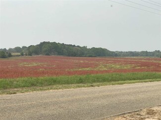 29574 Straughn School Rd, Andalusia, AL 36421