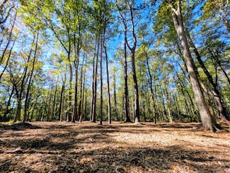 3047 Fickling Hill Rd Unit C-2, Johns Island, SC 29455