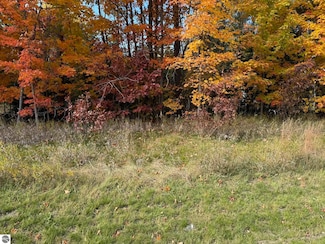 VL Michigan 113, Fife Lake, MI 49633