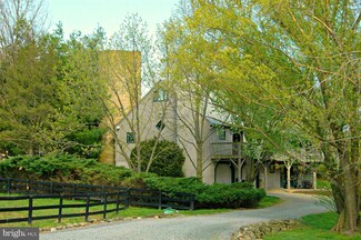 18935 Yellow Schoolhouse Rd, Bluemont, VA 20135