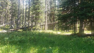 Boston County Rd 169, Philipsburg, MT 59858