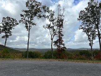 Lot 173 Shagbark Ct, Ellijay, GA 30541