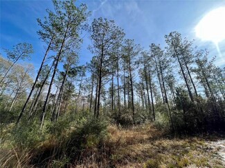 0 Whitehouse Fork Rd Unit 7150342, Bay Minette, AL 36507