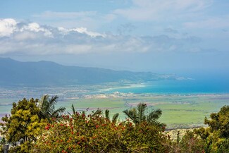 39 Kalihi Place, Kula, HI 96790