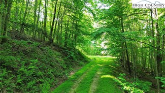 Lot 13 Larkspur Rd, Beech Mountain, NC 28604