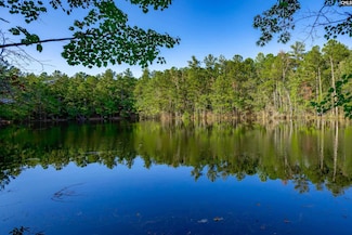 00 State Road S-20-433, Ridgeway, SC 29130