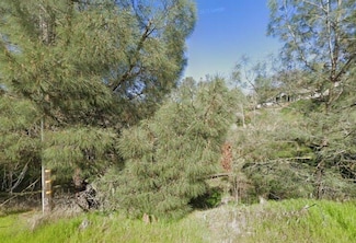 8745 Hautly Ln, Rancho Calaveras, CA 95252