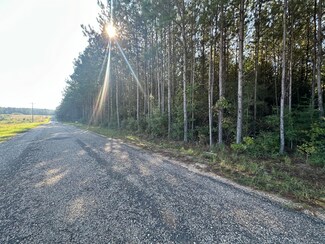 0 Miller Rd, Bassfield, MS 39421