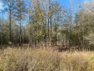 1390 County Road 3061, Kirbyville, TX 75956