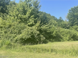 0 Chestnut St Unit 5136238, Andover, OH 44003