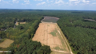 0 County Road 43, Eupora, MS 39744