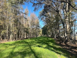 0 Goose Lake Rd, Rolling Fork, MS 39159
