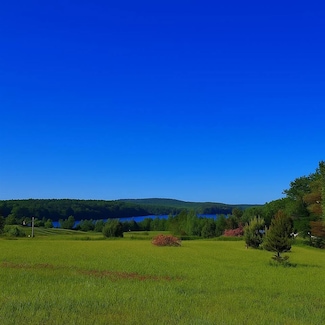 TBD Marion Center Rd, Charlevoix, MI 49720