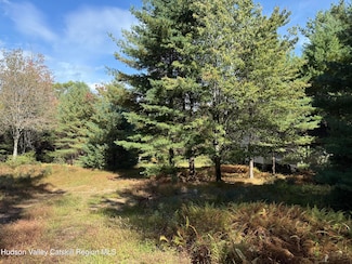 25 Braziel Heights Rd, Kerhonkson, NY 12446