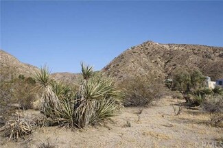 0 Samel Unit JT16187635, Morongo Valley, CA 92256