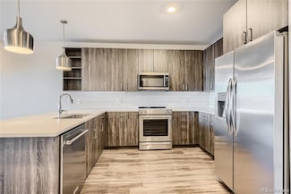 20 Wilcox St Unit 518, Castle Rock, CO 80104